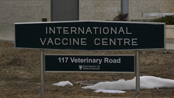 Sask. researchers search for better vaccines, treatment for tuberculosis