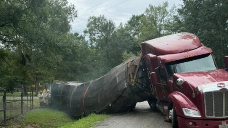 Millions of honeybees escape into a rural Texas neighbourhood after a semitrailer crash