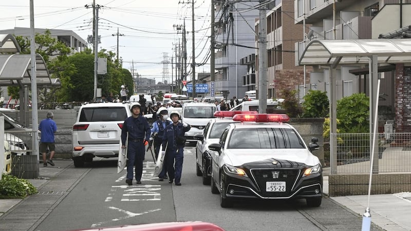 Japanese city captures bear that caused fear and school closures