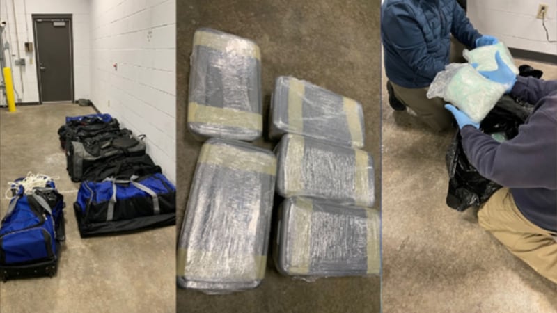 Judge sentences ‘mad man’ for attempting to smuggle millions in drugs into Canada on Jet Ski