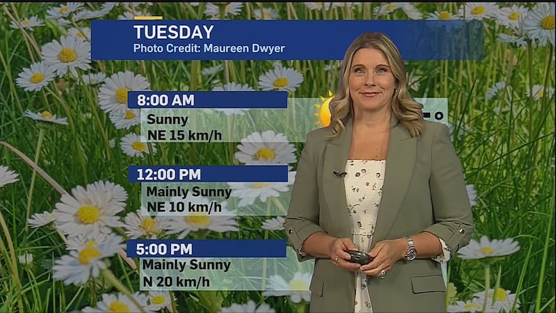 Sunny start to June, heat and humidity build this week
