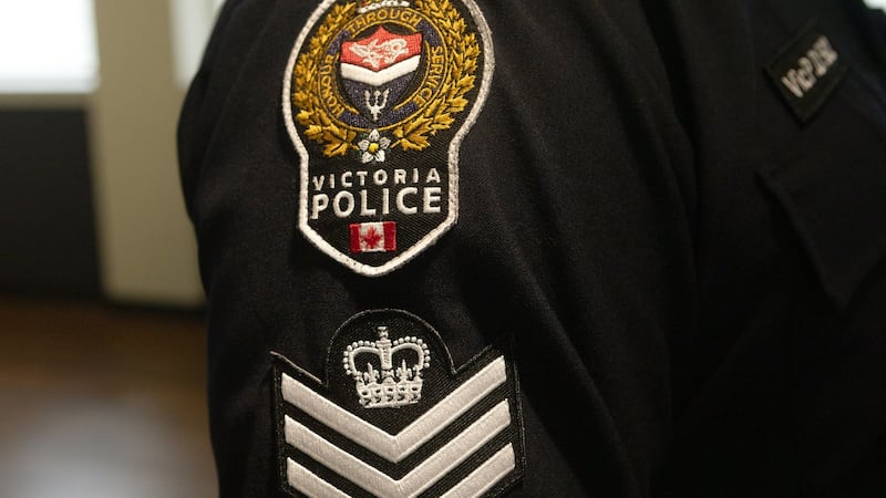 2 arrested in Victoria assault near Beacon Hill Park