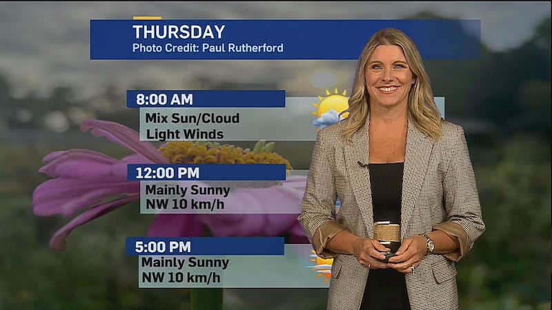 Stretch of sunny, summer-like weather in Southern Ontario