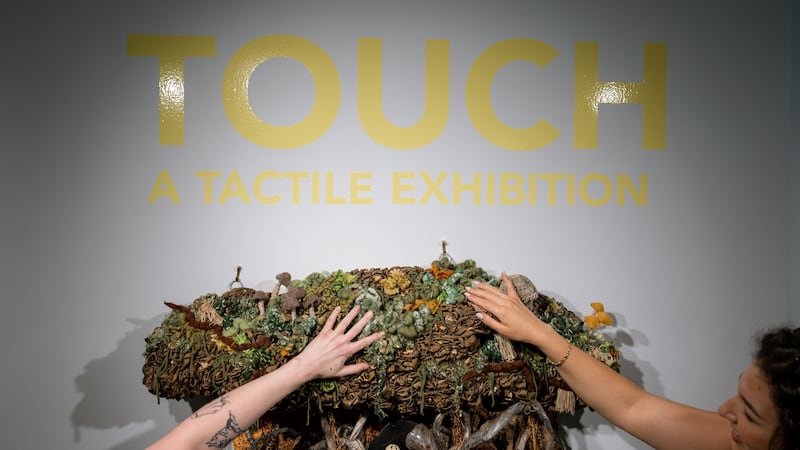 Fredericton art exhibit encourages attendees to touch the pieces