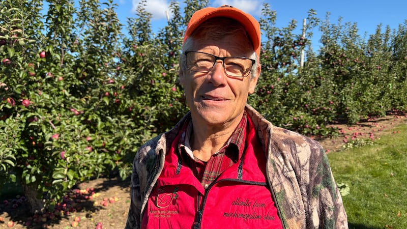 ‘Farmer’s Christmas’: Fredericton producers react to Thanksgiving business