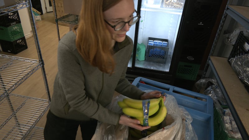 EI needs overhaul to help hungry workers, say Canadian food banks