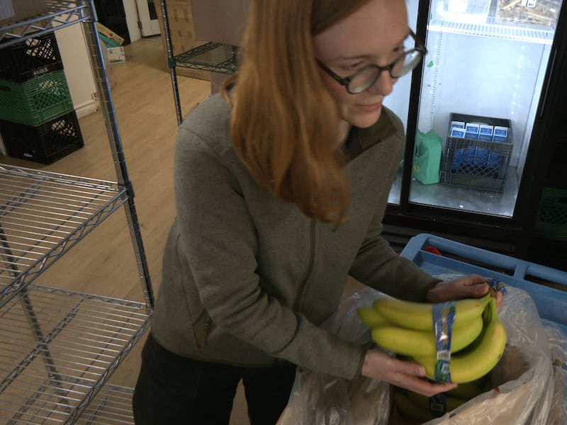 Two-parent families, full-time workers among those in need of food banks: report