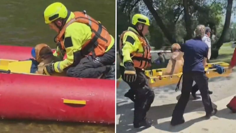 Dog falls off 60-foot cliff at the Elora Gorge