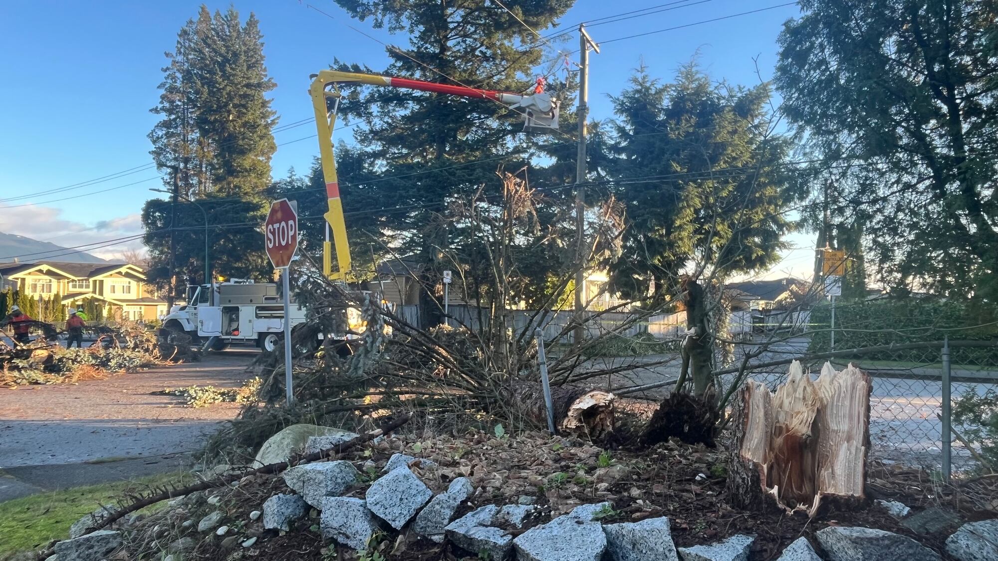 Clean up underway after B.C. windstorm – CTVNews