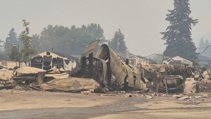 B.C. wildlife centre evacuates dozens of injured animals due to wildfire