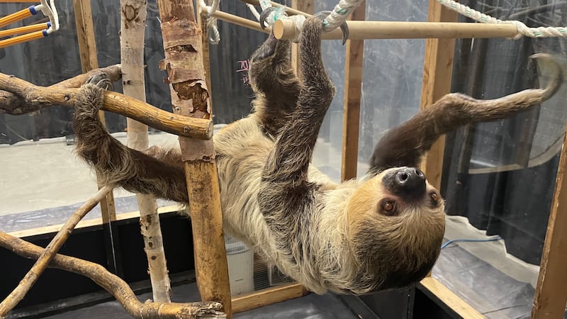 Wildlife Festival taking place in Regina, featuring over 50 exotic animals