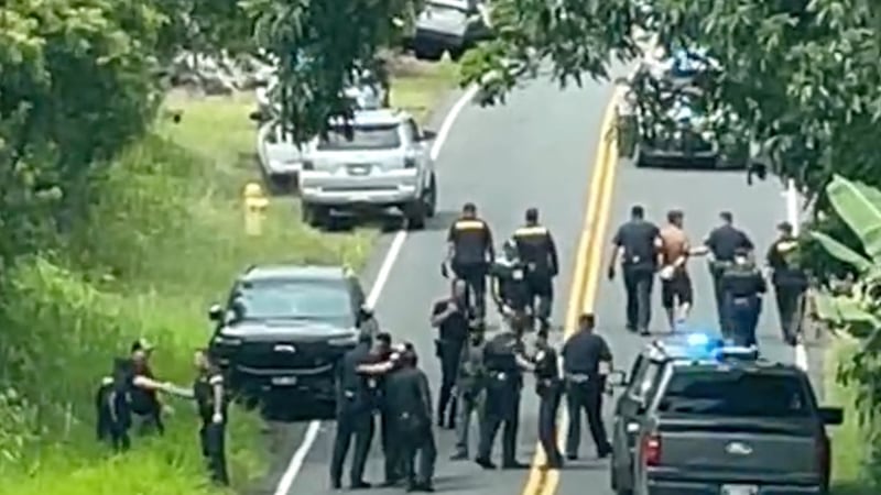Man wanted over 3 killings apprehended after an intense search of Hawaii’s Big Island
