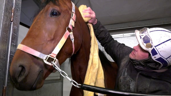 New season of harness racing set to kick off at Century Downs