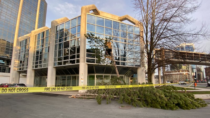 Unmanned Halifax Transit bus hits tree, damages downtown building