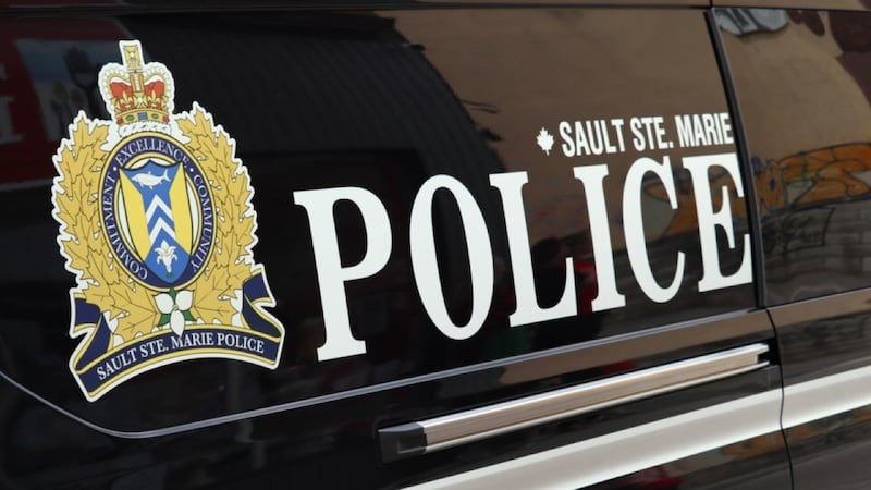 Calgary man accused of trying run over pedestrians in the Sault