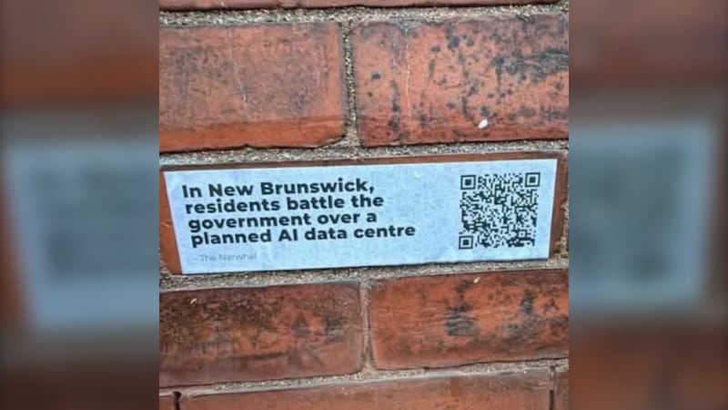 ‘Not acceptable’: Saint John mayor rips protest signs on uptown buildings
