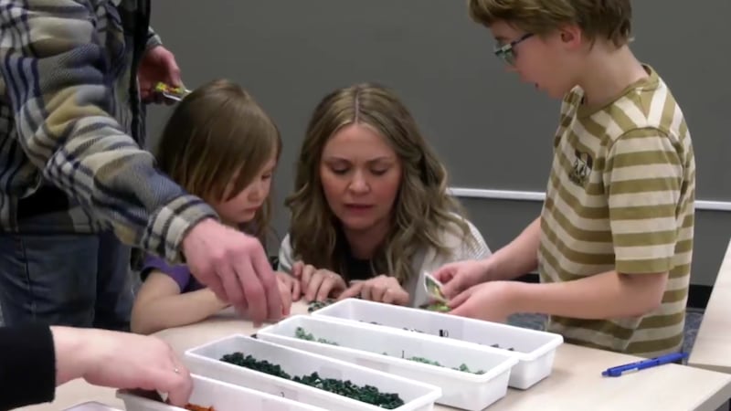 Saskatoon begins building 16‑foot‑tall Lego mosaic