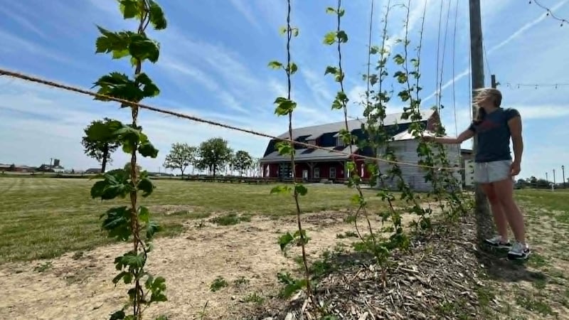 From hops to headlocks, creative fundraisers support Chatham-Kent Hospice
