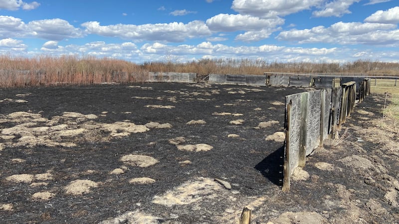 ‘Follow the fire bans’: Officials urge caution after brush fire on Star Blanket First Nation