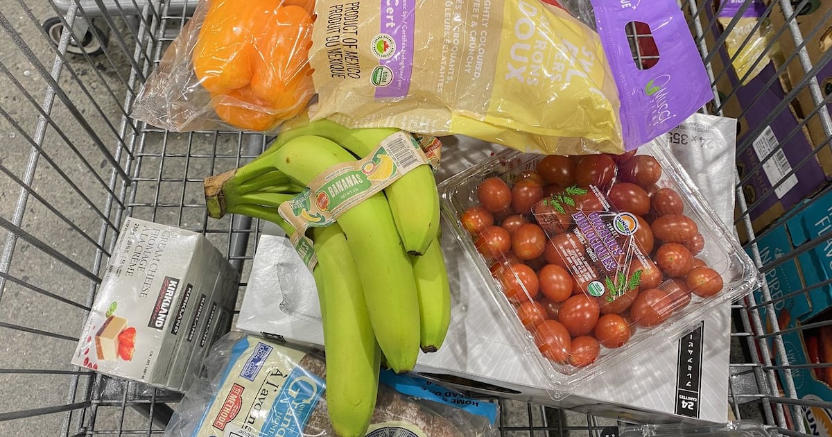 Guelph Police arrest grocery thief