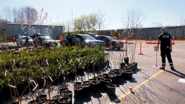 ‘I thought, free trees, why not?’ London residents create traffic backup as they collect free trees for Earth Day