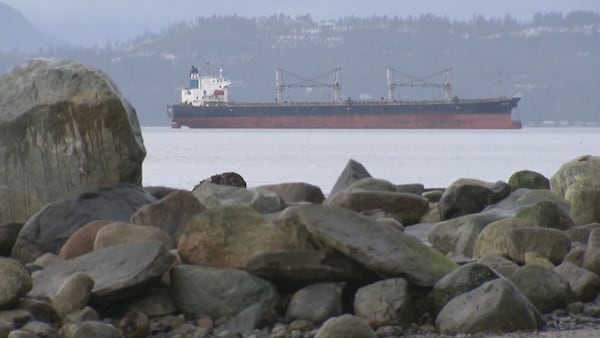 Alberta gov’t reaction to B.C. premier, Indigenous leaders calling for oil tanker ban to remain