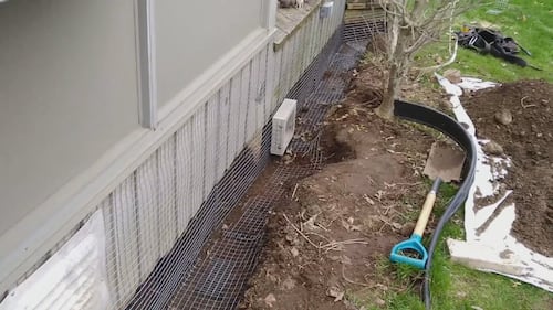 Baby river otter removal