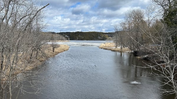 River Watch program wraps up in New Brunswick