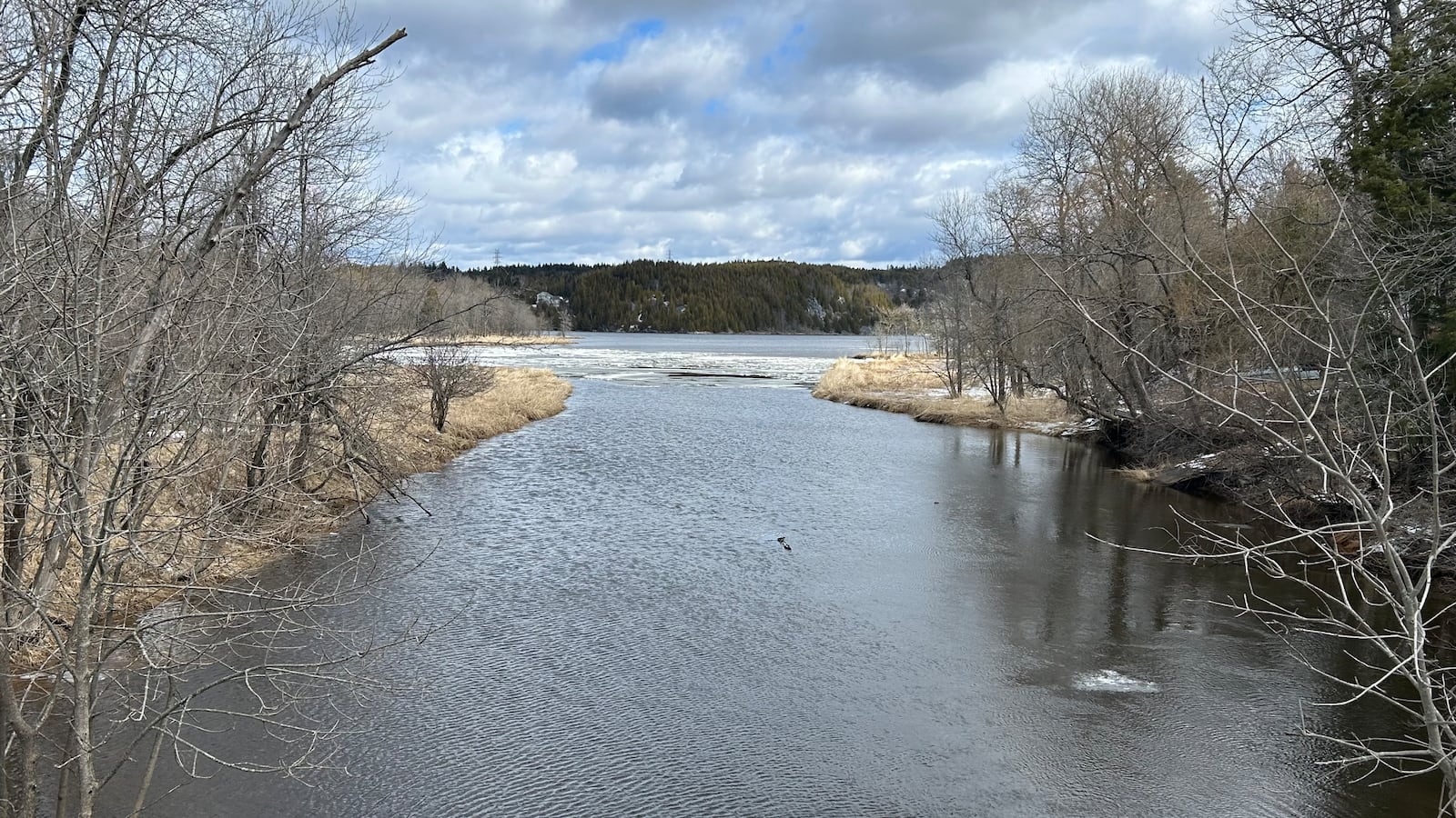 Nb Rivers N.B. news: 2026 River Watch program ends