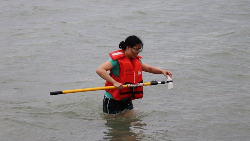 Beach water testing returns ahead of summer swim season