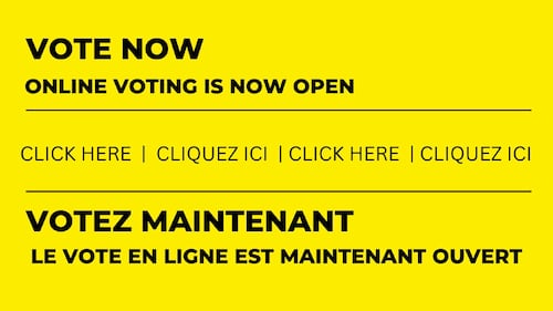 Online voting begins in Timmins for the municipal election