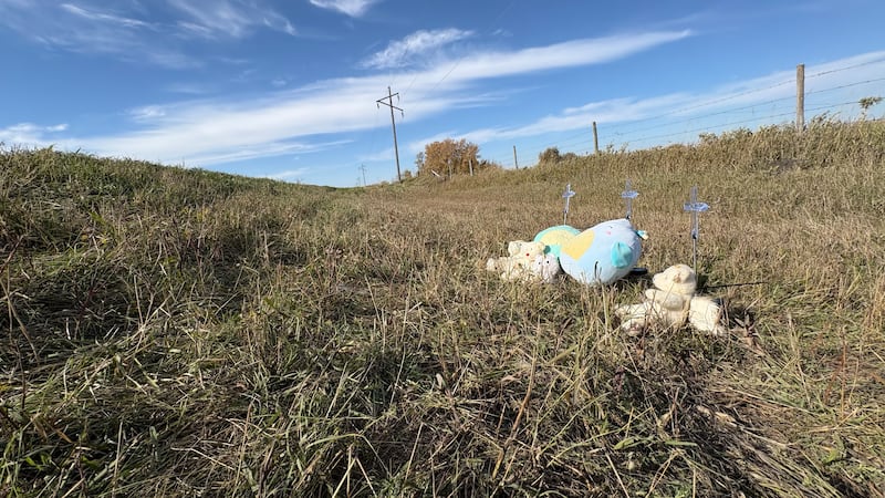 Driver involved in Saskatchewan crash is grieving deaths of woman, girls: lawyer
