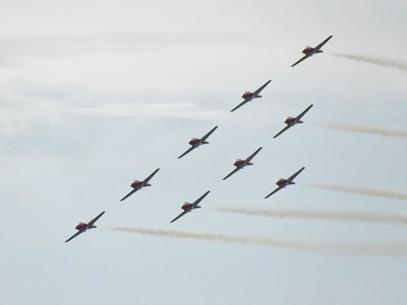 ‘Shining symbol of our very nation’: Campaign launched to keep Snowbirds flying