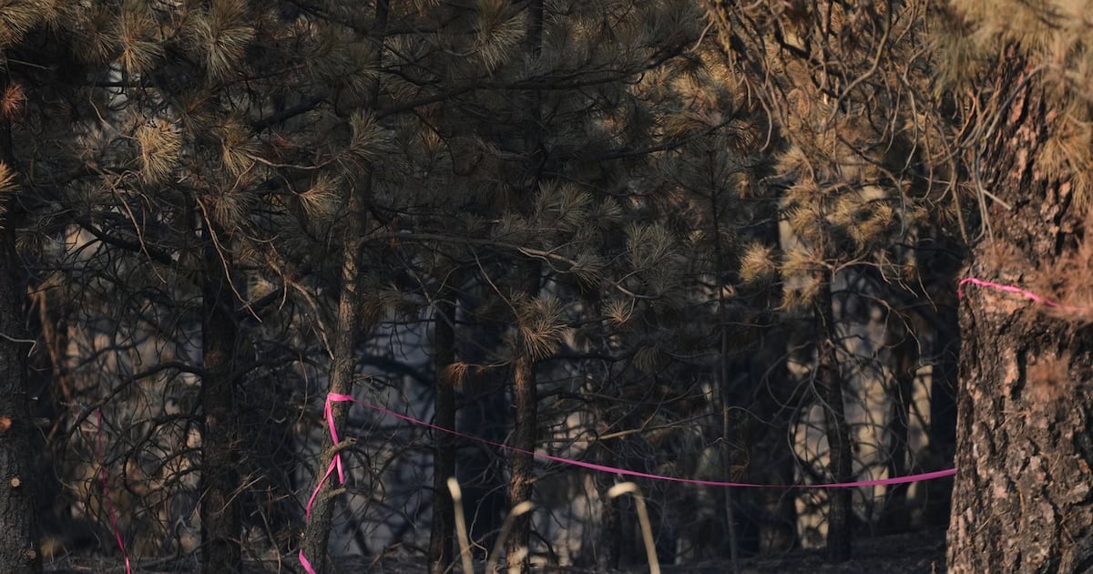 Man charged with arson in Spokane, Wash., told police he planned wildfire ...