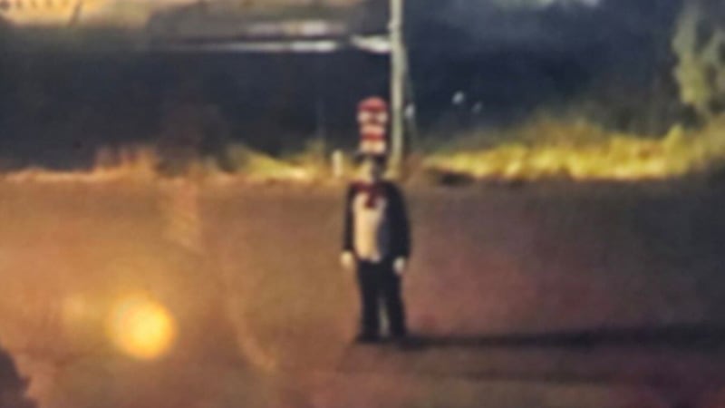 B.C. teen chased by someone wearing Cat in the Hat costume, police investigating