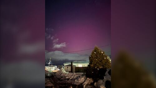 The Northern Lights are pictured in Sydney Mines, N.S., on Jan. 19, 2026. (Courtesy: Janet Herridge)
