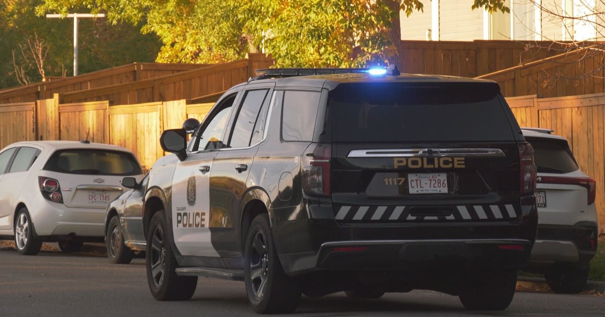 2 hospitalized following early Saturday altercation in southeast Calgary - CTV News