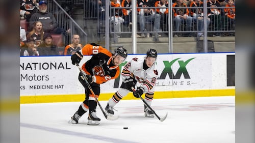 Pickford pots overtime winner as Tigers take Game 1 against Hitmen