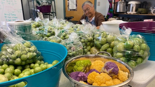 ‘Nobody goes hungry’: First Nation grows 1,000 pounds of food to reduce grocery costs