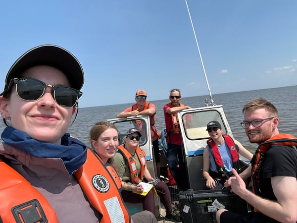 First-of-its-kind research into viruses infecting microalgae in Lake Winnipeg