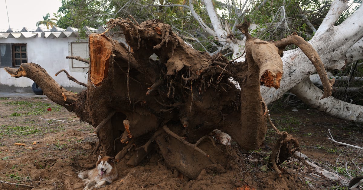 Study says global warming did more than El Niño to turbocharge Hurricane ...