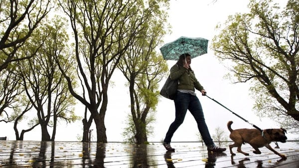 ‘Significant rainfall,’ freezing in some areas, expected in southern Ontario this week following weekend ice storm