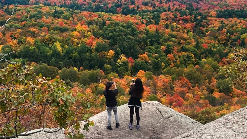 Things to do in Ottawa during the Thanksgiving weekend