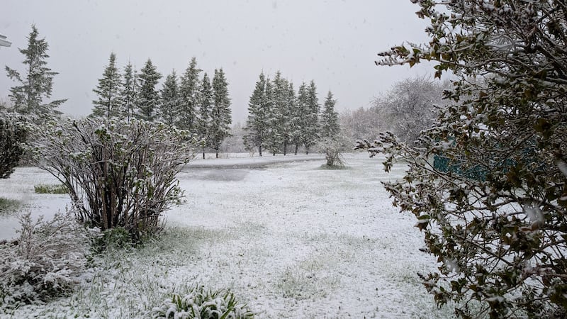 In Pictures: May snow in Cape Breton