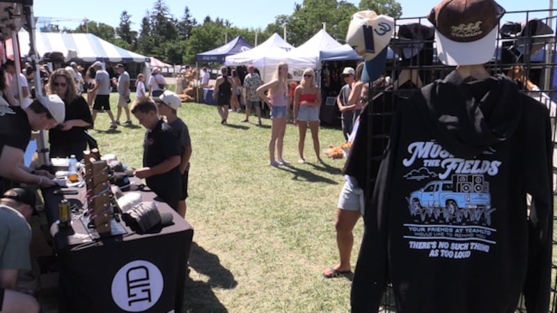 Music fans invade Bruce County village for weekend long music festival