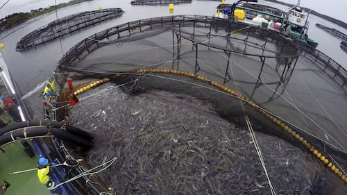 N.B.-based Cooke acquires salmon farming operations across Atlantic Canada