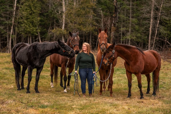‘The response has been incredible’: Horse rescue finds footing in the Maritimes