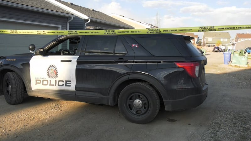 Calgary police say 2 youths in custody after Auburn Bay stabbing