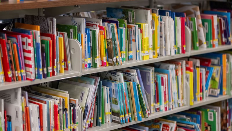 ‘Follow their interests’: Here are some ways you can get your child back into a reading routine before the start of the school year