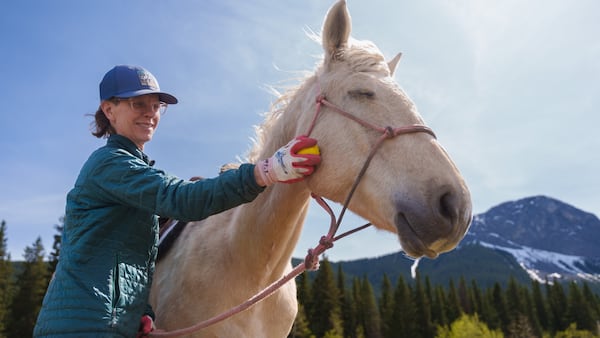Equine therapy bringing ‘peace and calm’ in the face of Bow Valley mental health struggles